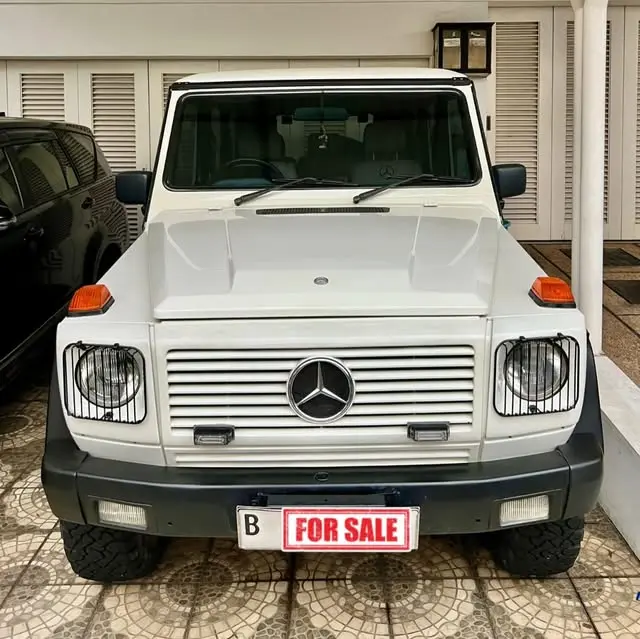 Mercedes-Benz G 300 1993