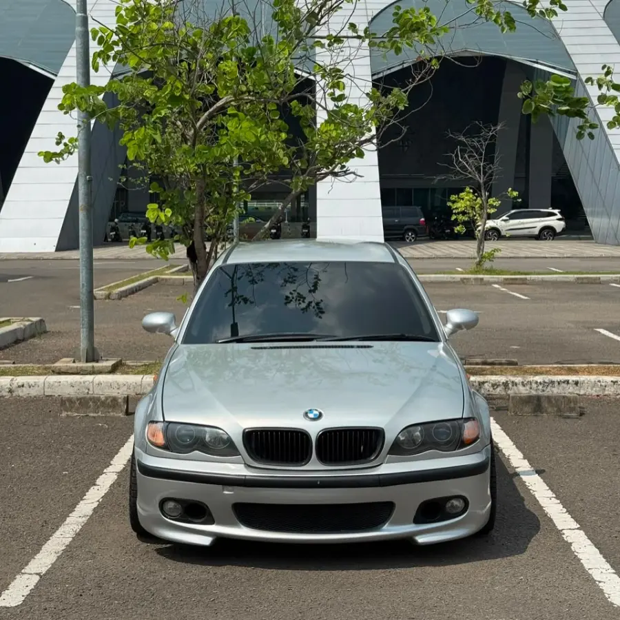 BMW E46 318i 2002