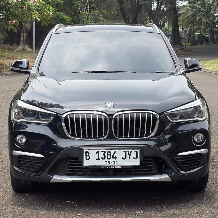 BMW X1 sDrive20i 2017