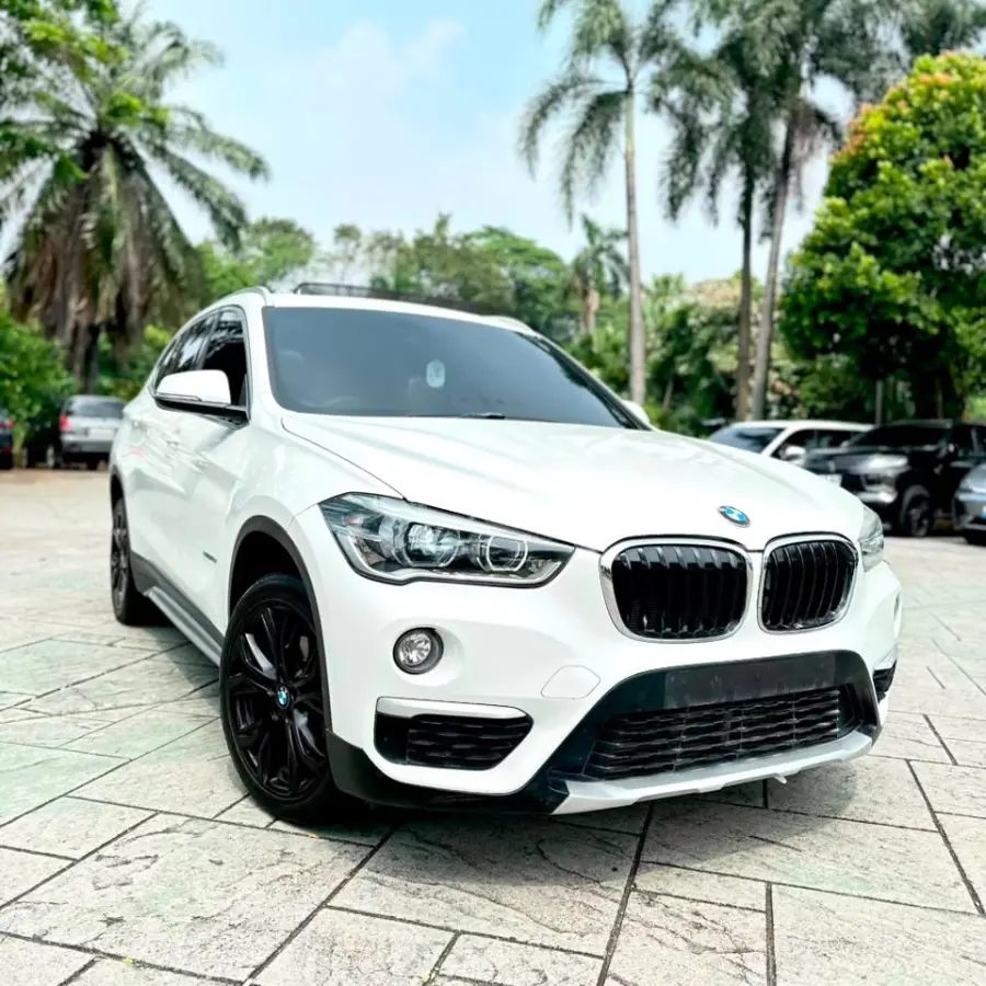 BMW X1 sDrive20i xLine 2018
